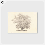 アートポストカード-A Tree in Full-Leaf - ウィリアム ヘンリー ハント Postcard.