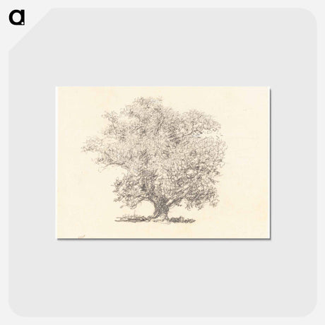 アートポストカード-A Tree in Full-Leaf - ウィリアム ヘンリー ハント Postcard.