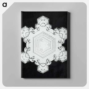 アートパネル-Wilson Bentley's Snowflake 1205 - ウィルソン ベントレー Canvas.