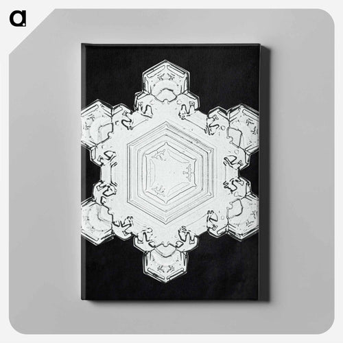 Wilson Bentley's Snowflake 1205 - ウィルソン ベントレー Canvas.