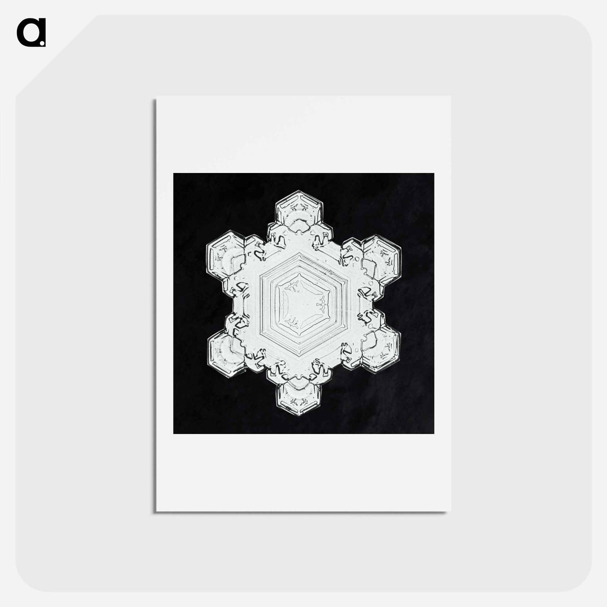 アートポストカード-Wilson Bentley's Snowflake 1205 - ウィルソン ベントレー Postcard.