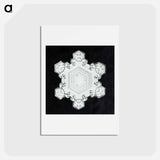 アートポストカード-Wilson Bentley's Snowflake 1205 - ウィルソン ベントレー Postcard.