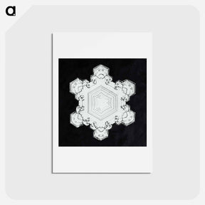 アートポストカード-Wilson Bentley's Snowflake 1205 - ウィルソン ベントレー Postcard.