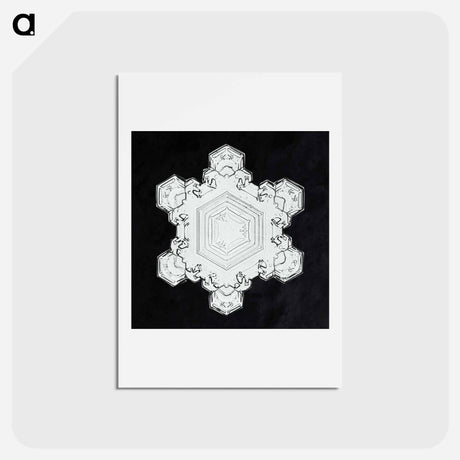 アートポストカード-Wilson Bentley's Snowflake 1205 - ウィルソン ベントレー Postcard.