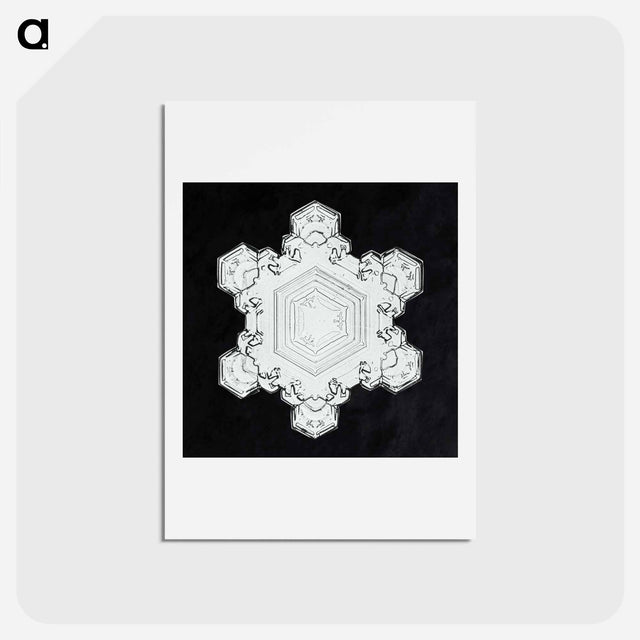アートポストカード-Wilson Bentley's Snowflake 1205 - ウィルソン ベントレー Postcard.