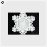 アートポストカード-Wilson Bentley's Snowflake 1205 - ウィルソン ベントレー Postcard.