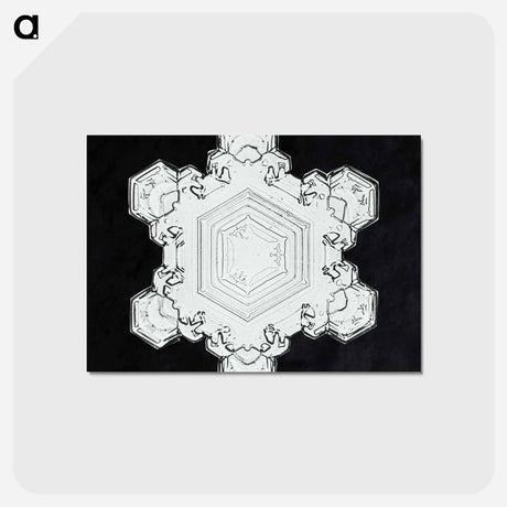 アートポストカード-Wilson Bentley's Snowflake 1205 - ウィルソン ベントレー Postcard.