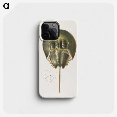 1-14_Zoology-of-New-York_phone