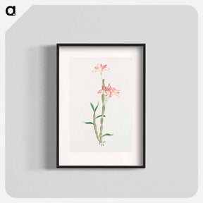 アートポスター-Sakoku - 19世紀の日本の花 Poster.