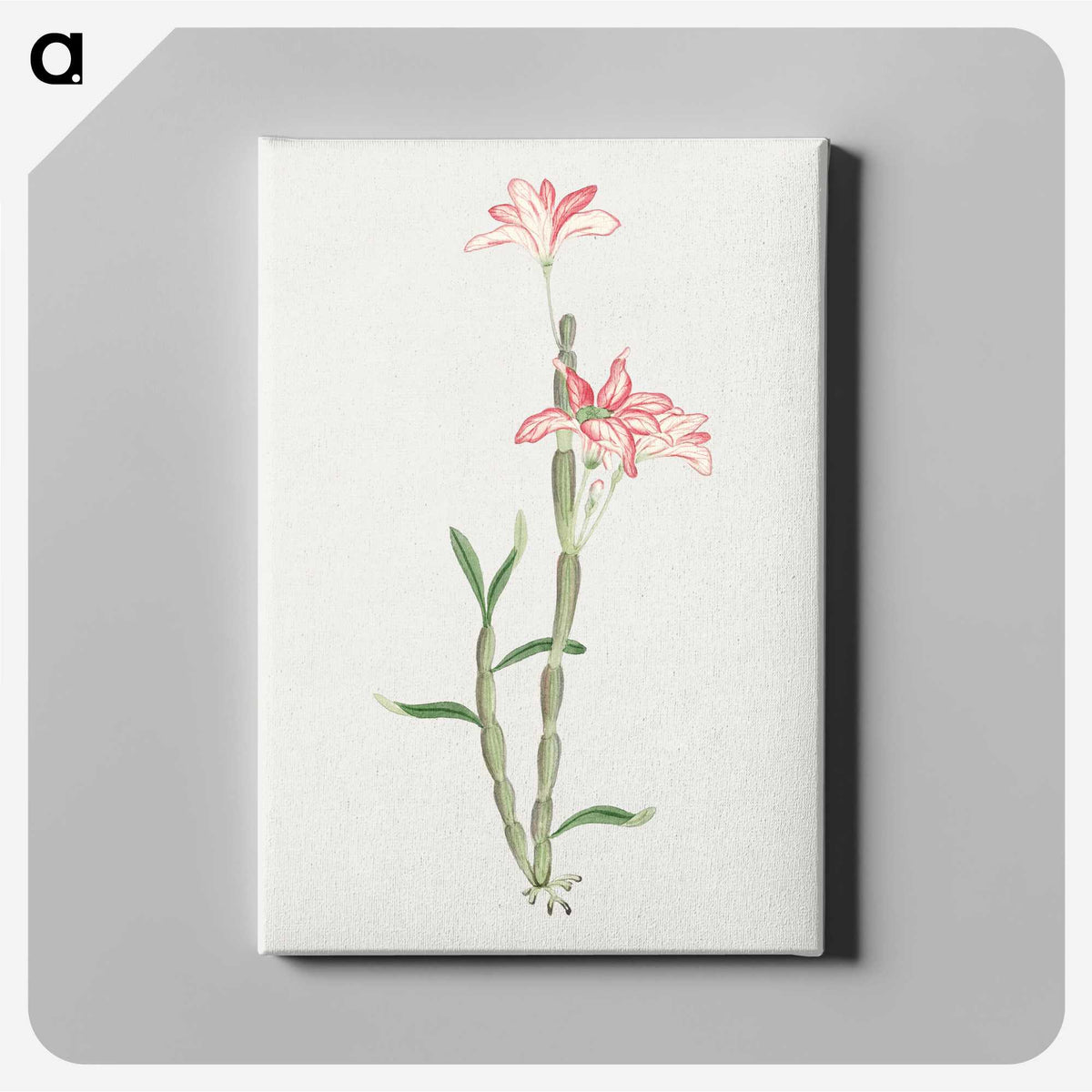 1-15_19th-Century-Japanese-Flowers_canvas