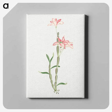 1-15_19th-Century-Japanese-Flowers_canvas