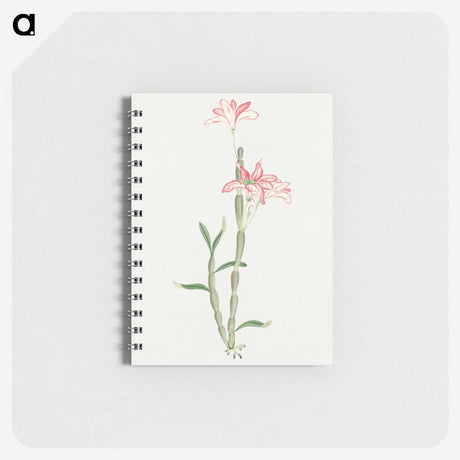 1-15_19th-Century-Japanese-Flowers_memo