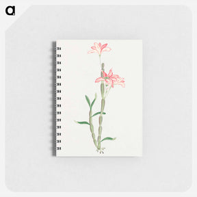 アートメモ帳-Sakoku - 19世紀の日本の花 Memo.