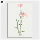 1-15_19th-Century-Japanese-Flowers_picture-crop