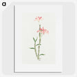 1-15_19th-Century-Japanese-Flowers_picture