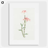 1-15_19th-Century-Japanese-Flowers_picture