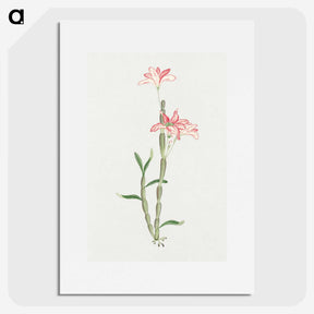 1-15_19th-Century-Japanese-Flowers_picture