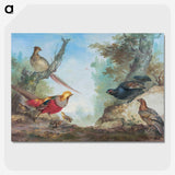 1-15_Aert-Schouman_picture-crop
