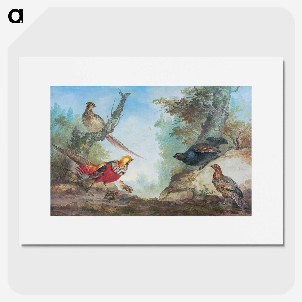 1-15_Aert-Schouman_picture