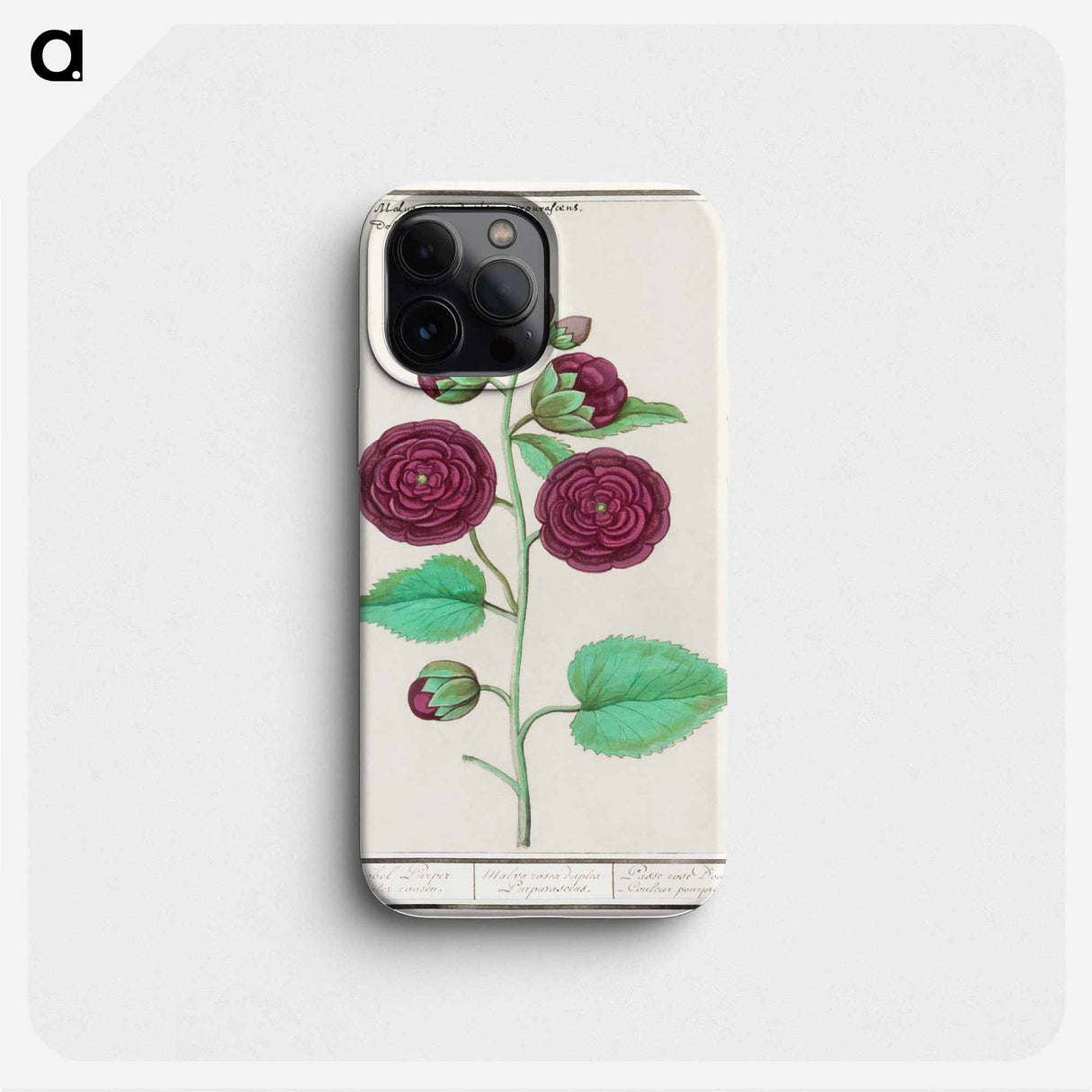 Hollyhock - アンセルムス ボエティウス デ ブート Phone Case.