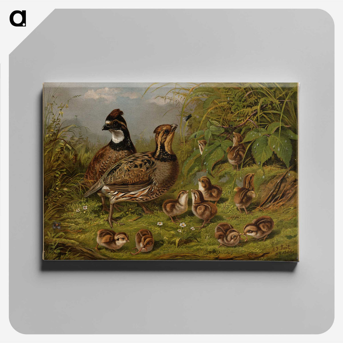 1-15_Arthur-Fitzwilliam-Tait_canvas