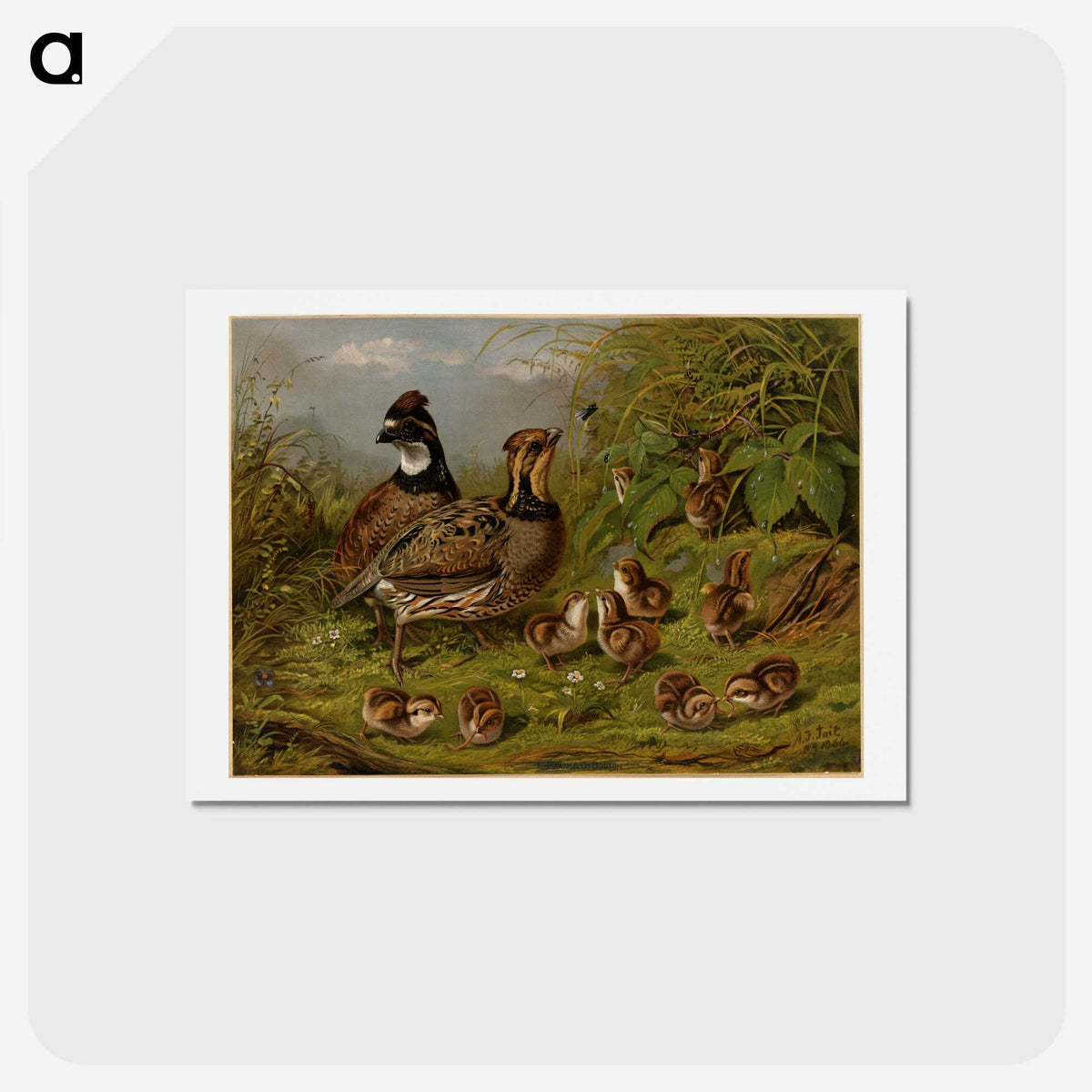 1-15_Arthur-Fitzwilliam-Tait_hagaki