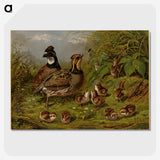 1-15_Arthur-Fitzwilliam-Tait_picture-crop