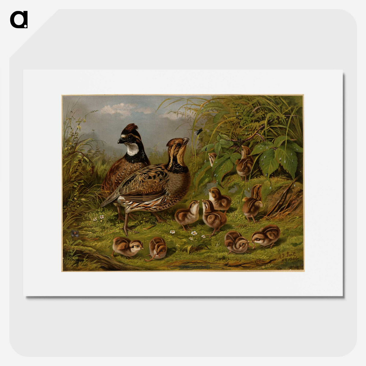 1-15_Arthur-Fitzwilliam-Tait_picture