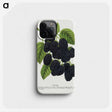 1-15_Botanical-Specimen-Plates_phone