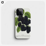 1-15_Botanical-Specimen-Plates_phone