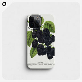 1-15_Botanical-Specimen-Plates_phone