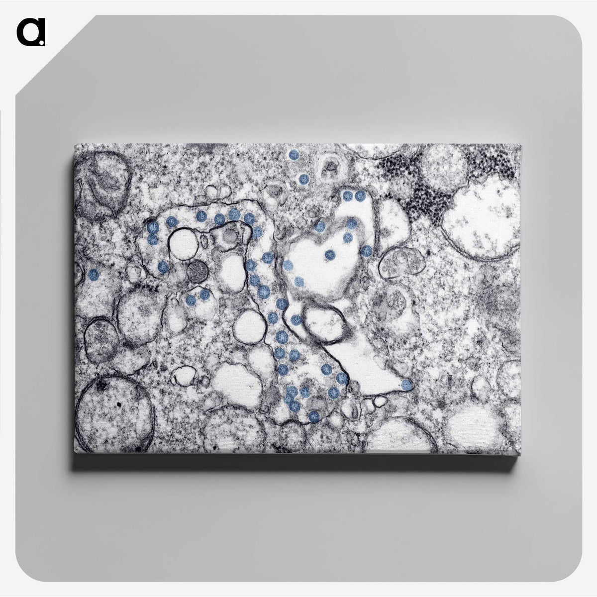 1-15_COVID-19_canvas
