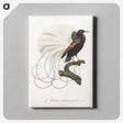 1-15_Des-Oiseaux-de-Paradis_canvas