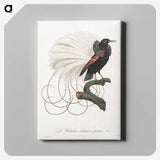 1-15_Des-Oiseaux-de-Paradis_canvas