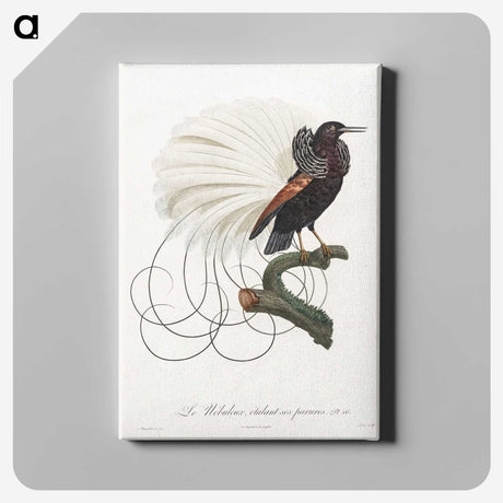 1-15_Des-Oiseaux-de-Paradis_canvas