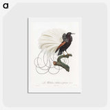 1-15_Des-Oiseaux-de-Paradis_hagaki