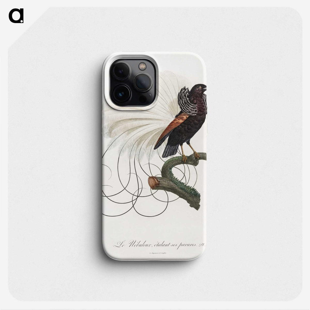 1-15_Des-Oiseaux-de-Paradis_phone