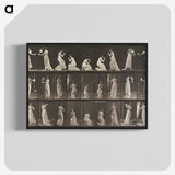 1-15_Eadweard-Muybridge_blk-crop