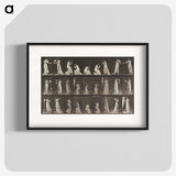 1-15_Eadweard-Muybridge_blk
