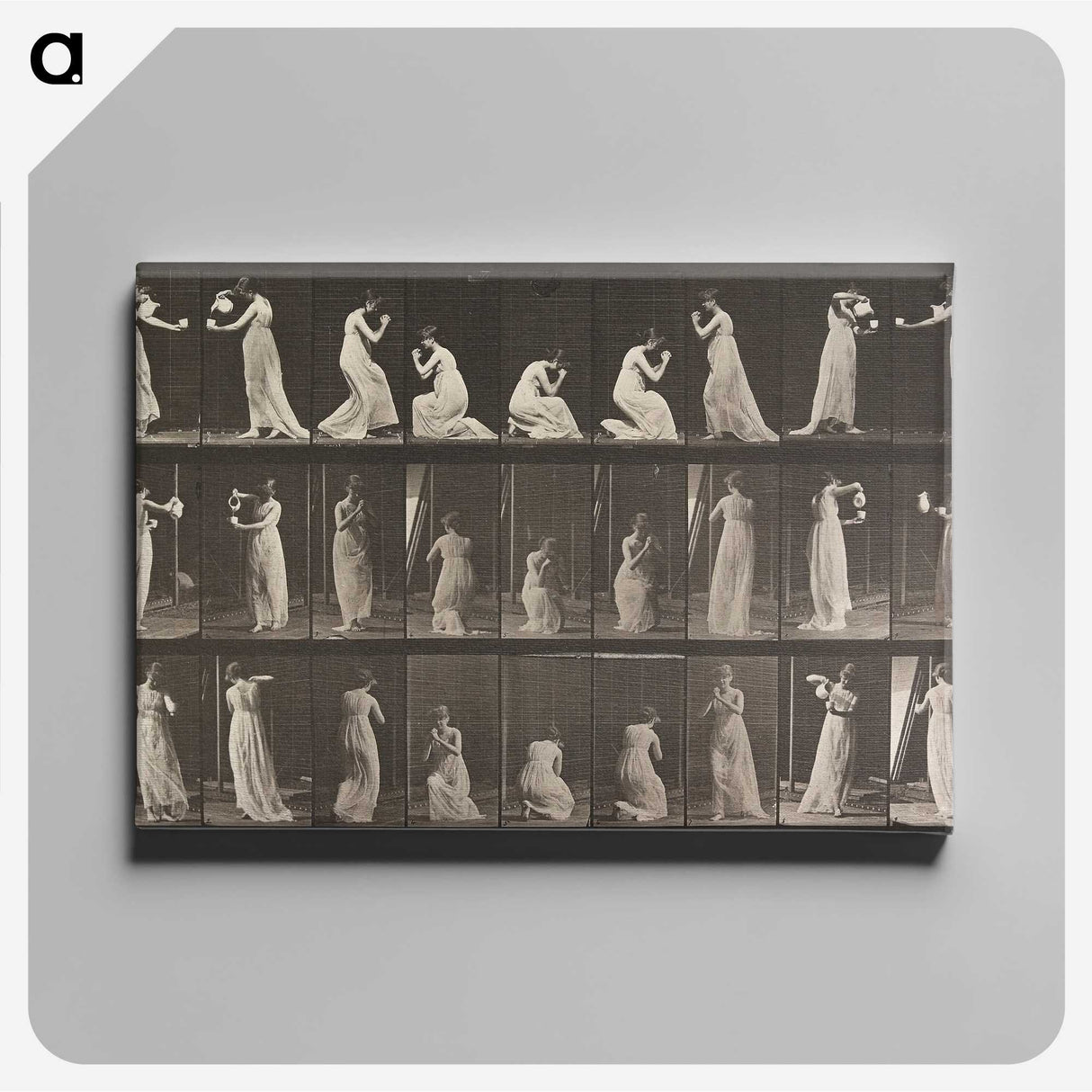 1-15_Eadweard-Muybridge_canvas