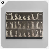 1-15_Eadweard-Muybridge_canvas
