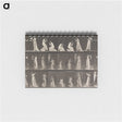 1-15_Eadweard-Muybridge_memo