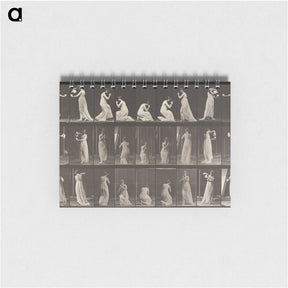 1-15_Eadweard-Muybridge_memo