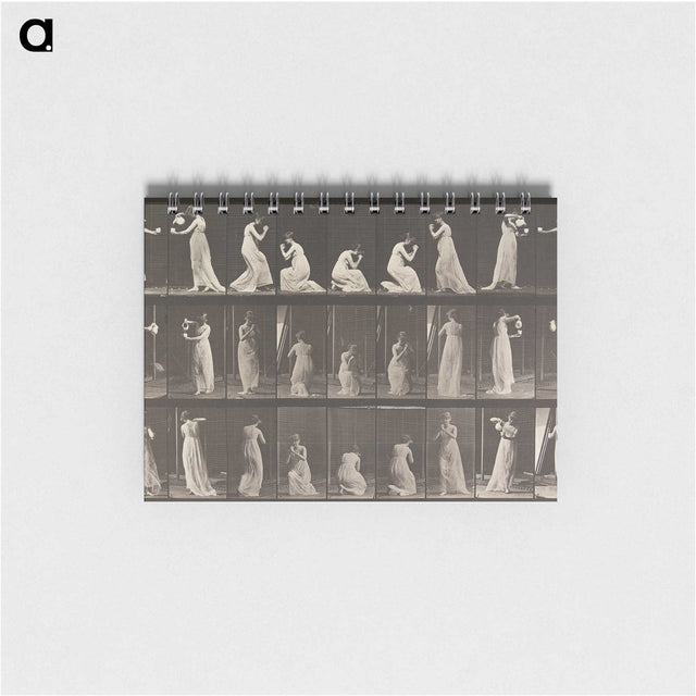 1-15_Eadweard-Muybridge_memo