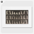 1-15_Eadweard-Muybridge_picture