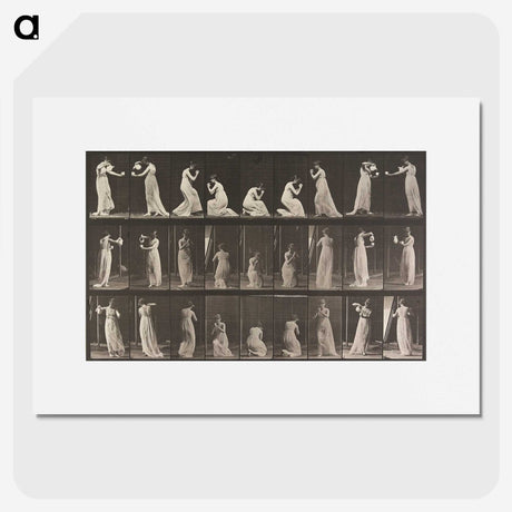 1-15_Eadweard-Muybridge_picture