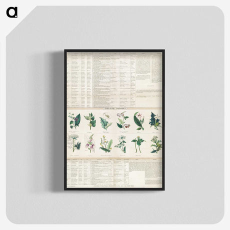 1-15_Education-Charts_blk-crop