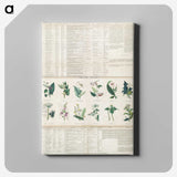 1-15_Education-Charts_canvas