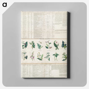 1-15_Education-Charts_canvas