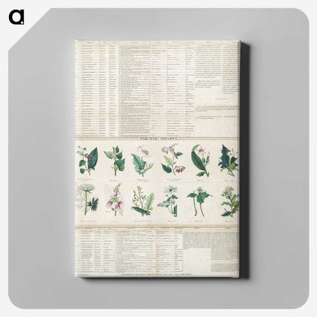 1-15_Education-Charts_canvas